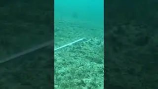 пример хорошего зацепления якоря