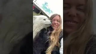 Подписывайся на наш блог! Я рассказываю о здоровом питании и жизни за городом с 3🐶