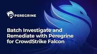 Peregrine Batch Investigation and Remediation for CrowdStrike Falcon -  Webinar