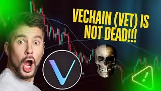 🚨VECHAIN (VET) IS NOT DEAD [HERE IS WHY] GET READY NOW !!!