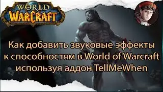 Как добавить звуки для способностей в World of Warcraft с помощью TellMeWhen