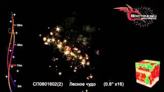 Лесное чудо СП08016022
