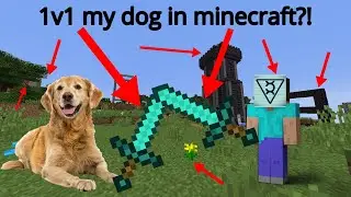 1v1ing my Dog in Minecraft. (HE HACKS?)