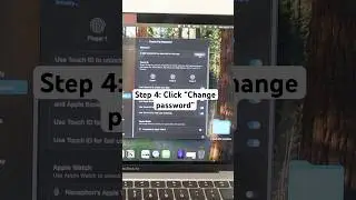 How To Change Password On MacBook In 5 Steps!