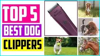 Top 5 Best Professional Dog Clippers