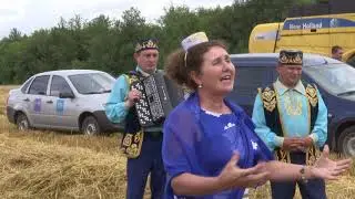 В Мамадыше сотрудники отдела культуры концерты ставят прямо в поле