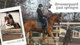 Mijn dressuurpaard mee naar oefenspringen 😱 #dagvlog