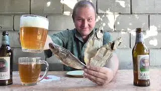 Пью пиво 