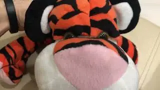 Тигруля из винни-пуха