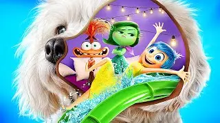 Inside Out 2! We Build a Waterpark for Pets! Inside Out 2 in Real Life!
