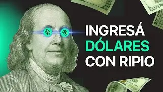 Conocé la NUEVA CUENTA en DOLARES en RIPIO 💵 🇺🇸 #ripio #criptodolar