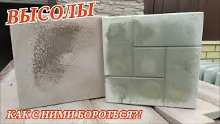 Высолы на тротуарной плитке | Часть 1