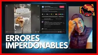 Golden Retriever vs Dogo Argentino  (El dogo pierde)