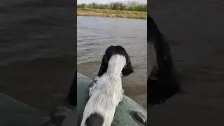 Альфа. Новое путешествие👣