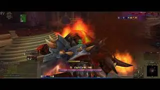 The Violet Hold - WoW Multiboxing WotLK Classic - Leveling 5x Paladin