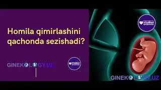 Homilani qimirlashi nechinchi haftadan sezilishi kerak