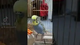 Когда делаешь предложение !