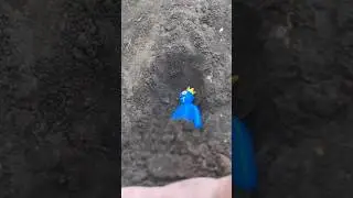 Burying Blue from rainbow friends! 