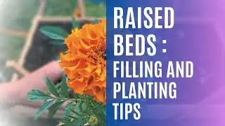 What To Put In The Bottom Of Your Raised Garden Bed