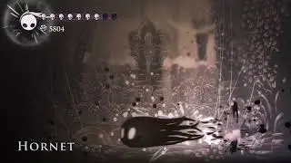Beating Hornet until Hollow Knight: Silksong comes out.Day 999.