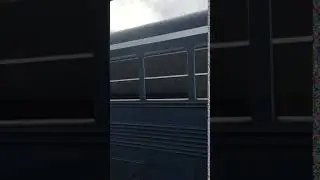 Pikes Blue Bird Bus - A bird learns to fly! Part 2