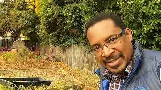 A November Harvest?! What to do when you have a warm Fall.