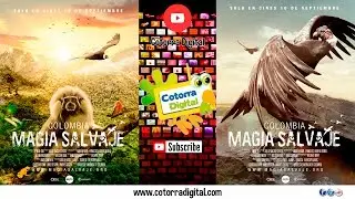 Magia Salvaje Película Colombiana