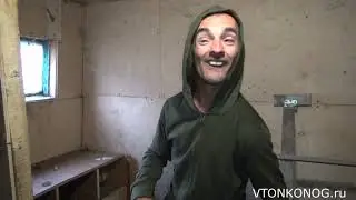Куры клюют яйца
