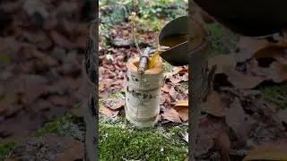 Survival Skills Amazing Beeswax Candle. 