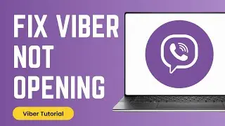 How to Fix Viber Not Opening on PC (2024)