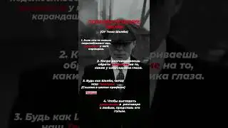 31 июля 2024 г.