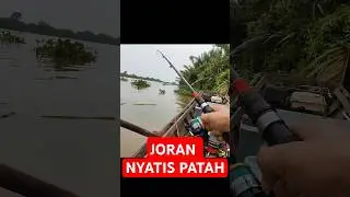 DIKIRA UDANG TERNYATA!!!! #fishing #udanggalah #matapancing