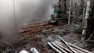 Тлт 100