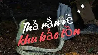 Release snakes back to Dong Nai Culture and Nature Reserve
