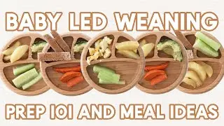 Baby Led Weaning Meal Ideas + Food Prep (single ingredient first foods)