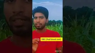 What is RBC?? 🤔🤔#shorts #ytshorts