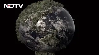 World Environment Day 2021: What You Need To Know