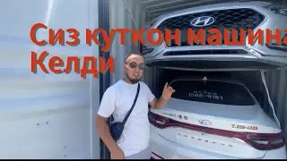 Сиздер Куткон машиналар келди/АвтоКорея