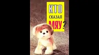 В. Сутеев 