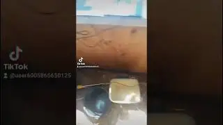 Солнечная электростанция