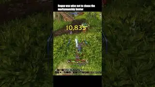Chase the marksman hunter at your own risk  #retail #wow #pvp #warwithin