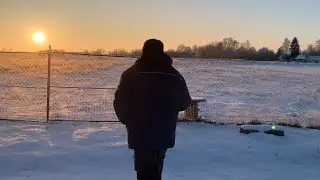 Посылка от подписчицы! Спасибо! Телят разделили!