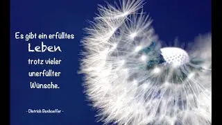 Nicht bloss träumen   sich Träume verwirklichen!