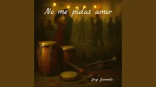 NO ME PIDAS AMOR