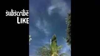 gcam terbaru Vivo y12 android 11 support astro fotografi