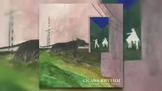 Cicada Rhythm - 