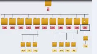 Linux File System Hierarchy