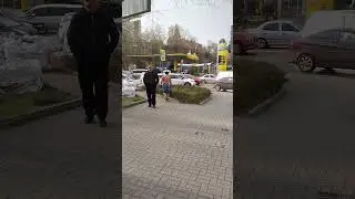 Морж