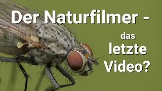 The Nature Filmmaker: My Last Video? - Macros from October 2025