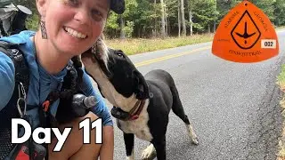 Day 11 | Bad Bad Dogs |Pinhoti Trail Hike